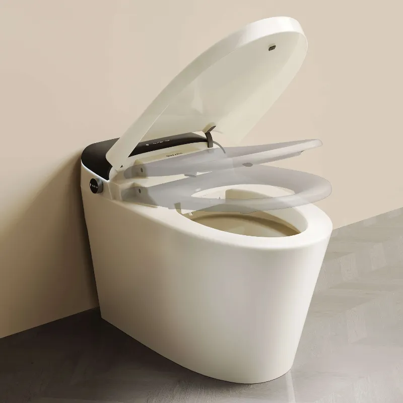 Bazyths toilet with bidet seat for combined washing and flushing