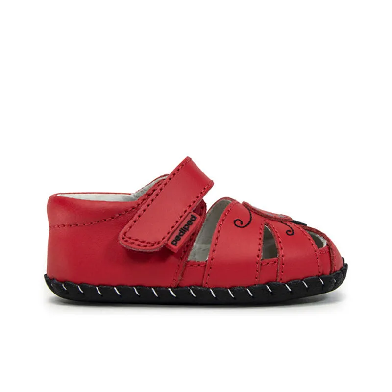 Pediped infant shoes for babies