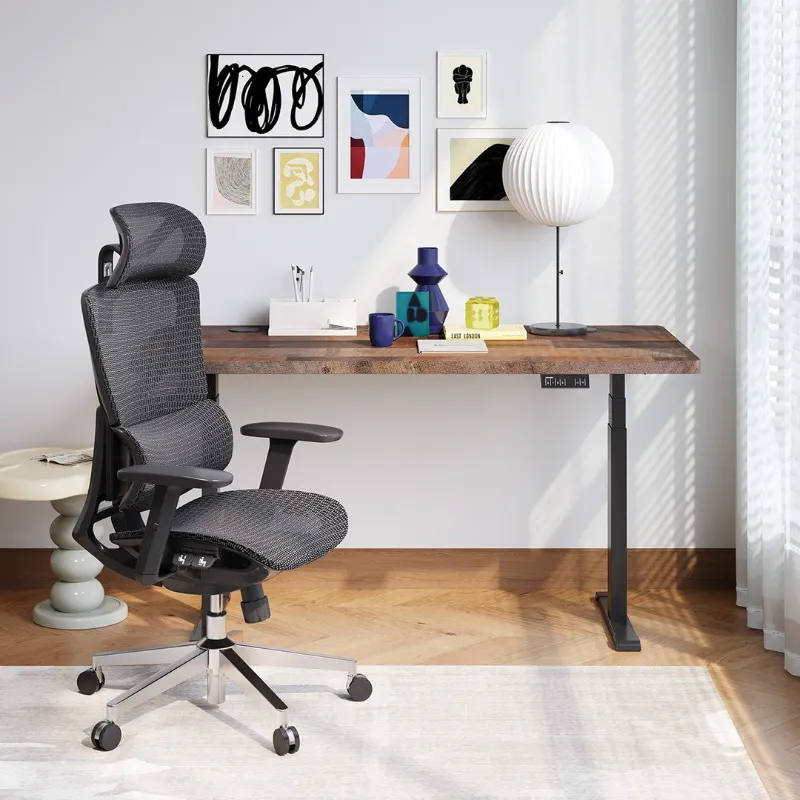 OdinLake ergo chair ergonomic chair