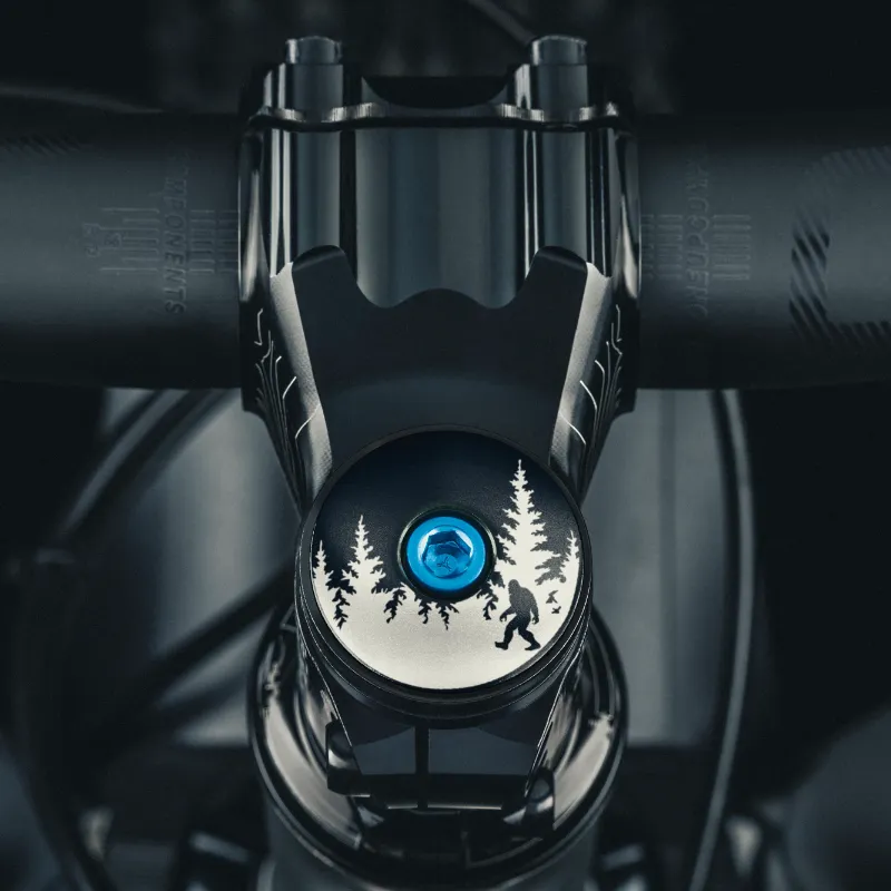 Dispatch Bike bike headset top cap