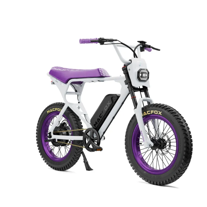 Eride Space Macfox E-bike X1S X BS.ZAY