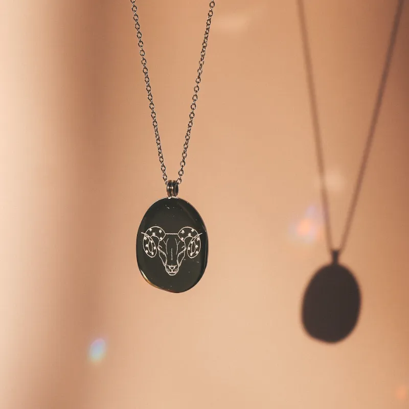 Horace Jewelry Zodiac silver necklace