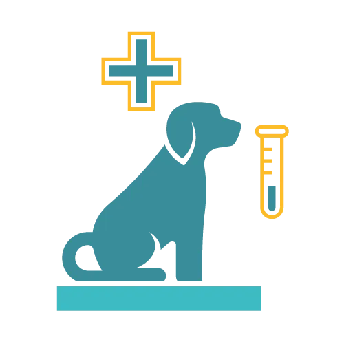 Affordable Pet Labs heartworm test kit with test device and packaging