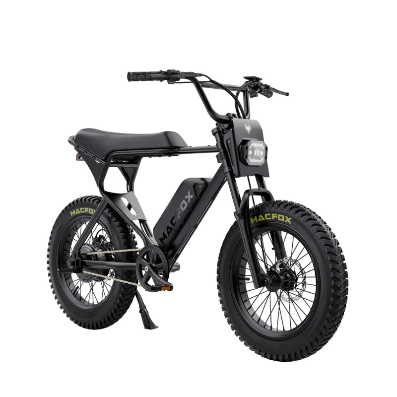 Eride Space Macfox X1S Electric Bike