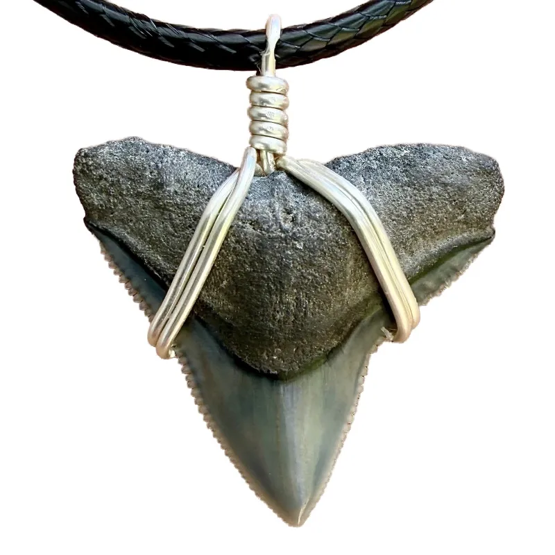 SHRKco shark tooth necklace