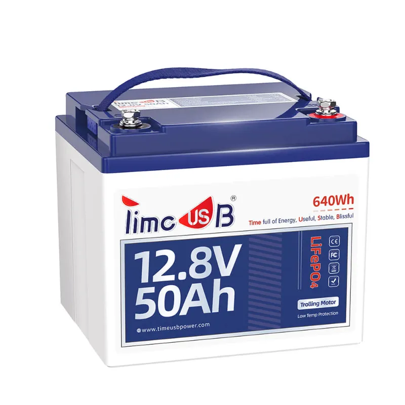 Timeusb 12v 50ah lithium ion battery
