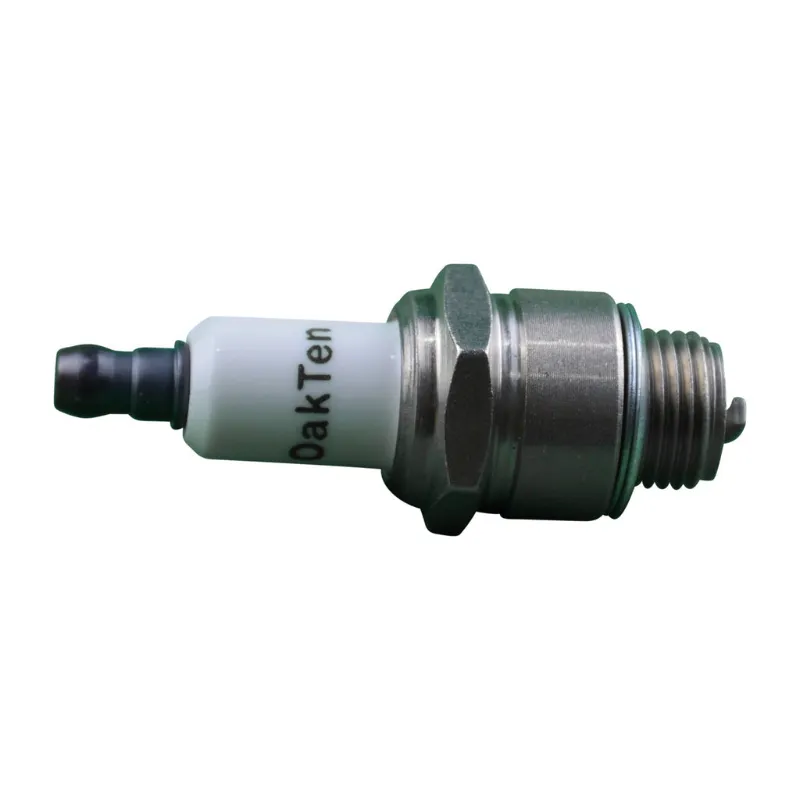 OakTen Parts Champion RJ19LM spark plug