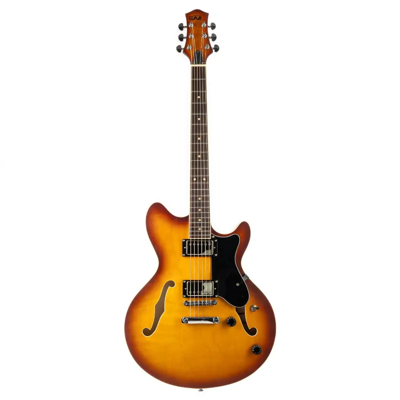 EART GUITAR semi hollow electric guitar