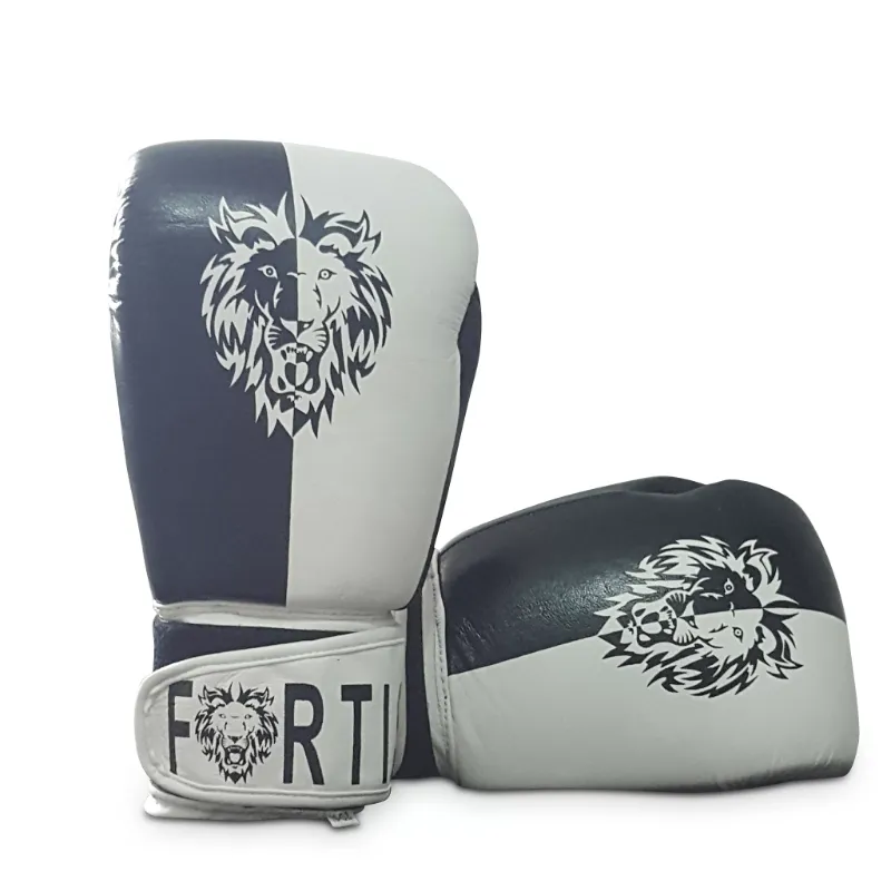 Fortis boxing music digital content