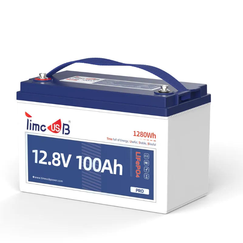 Timeusb RV lithium battery