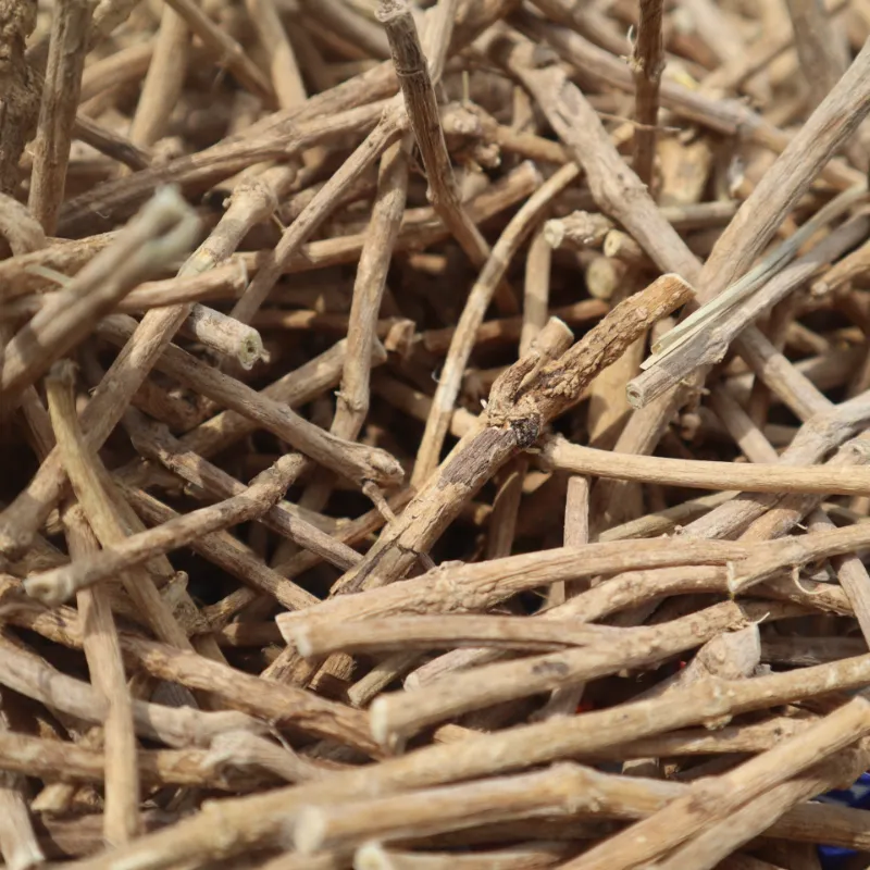 The Dream Joint silene capensis dried botanical product