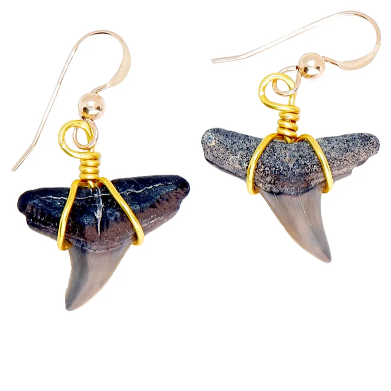 SHRKco 14k yellow gold shark stud earrings