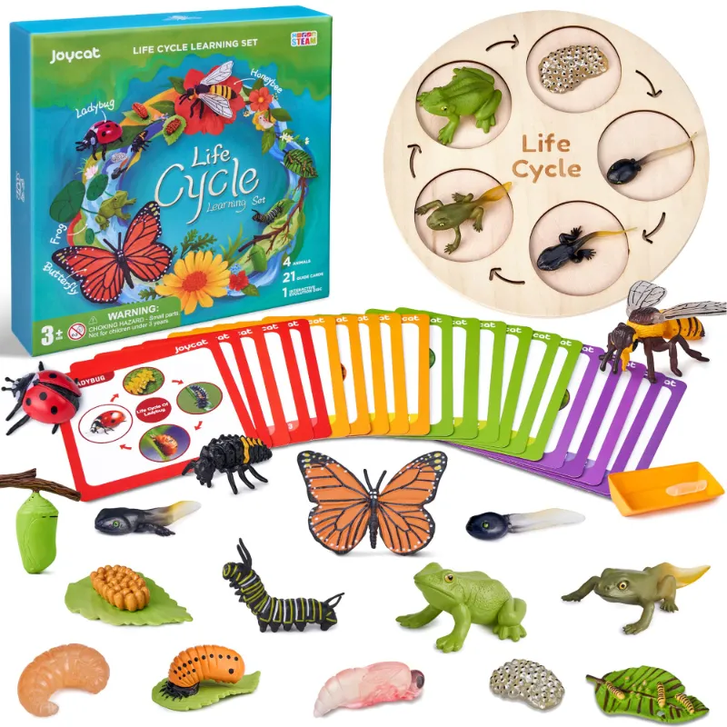 JoyCat montessori toys educational toy set