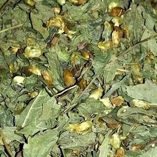 The Dream Joint mexican dreaming herb dried botanical