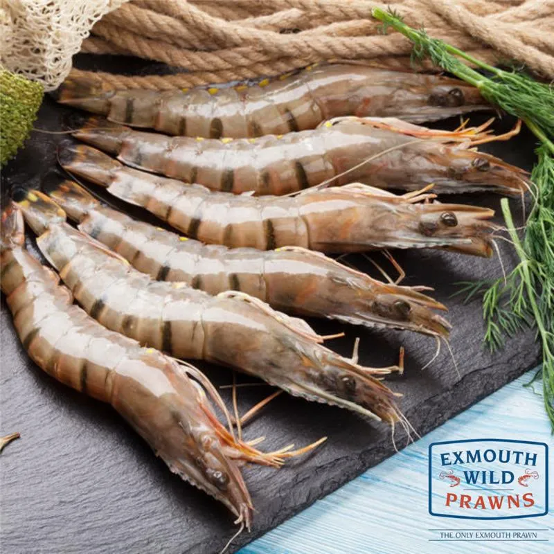 Steak King frozen tiger prawns