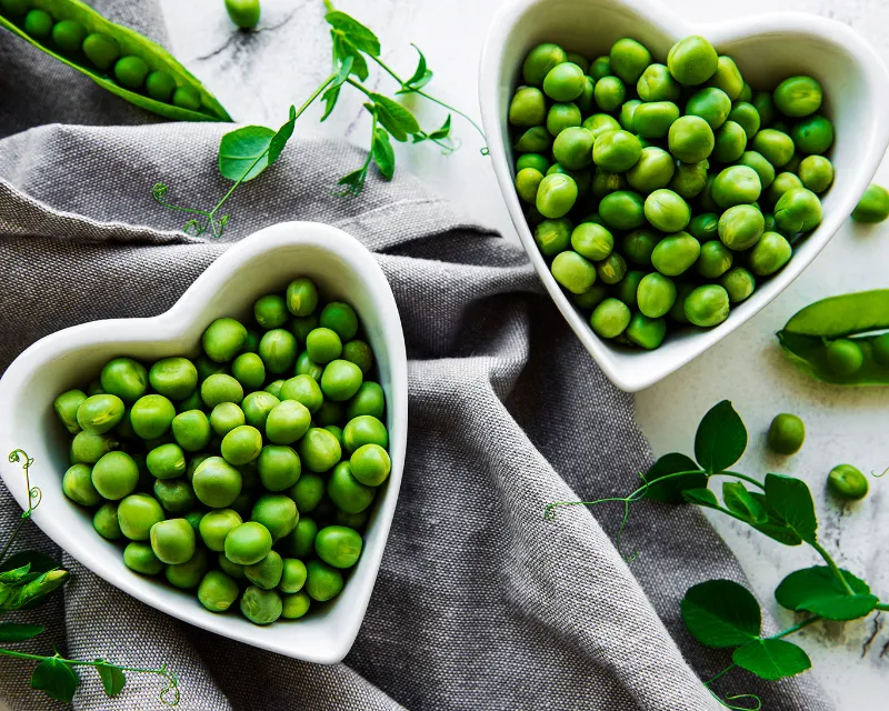 Vintage Seed Co snap peas seeds