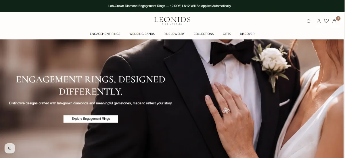 The Leonids home page