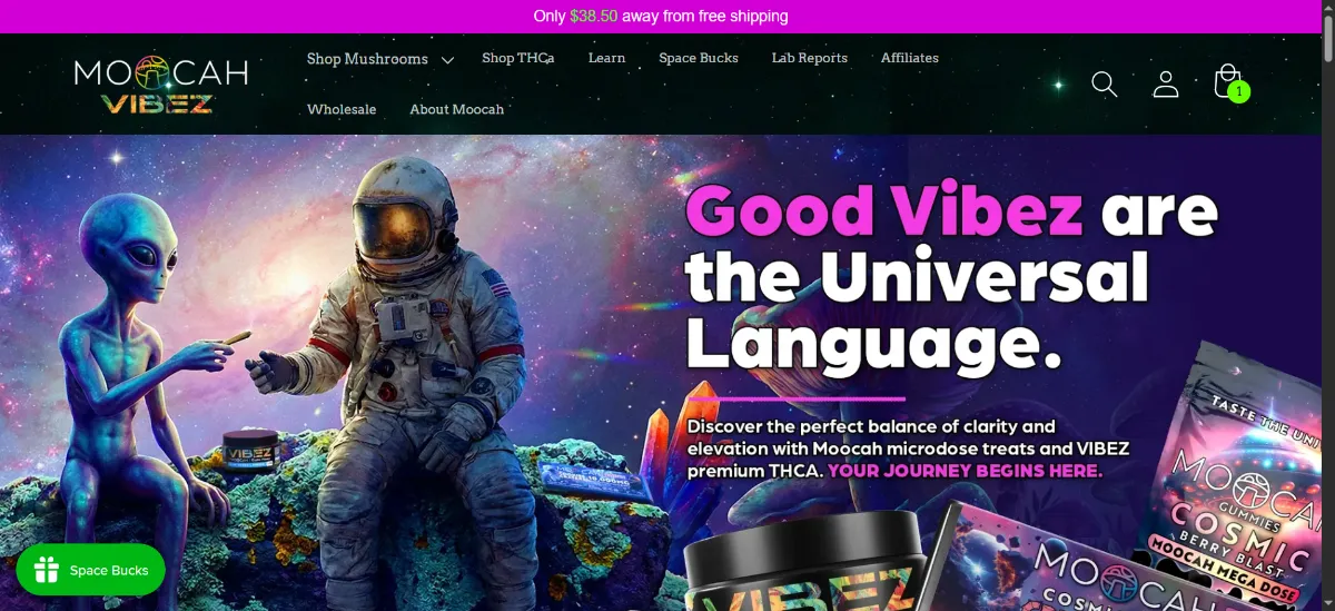 The Moocah World home page